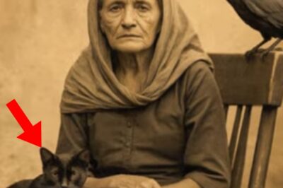 La Anciana De Galicia Que Veía A Los Muertos — Pero Lo Que Le Dijo Al Científico Lo Cambió Todo