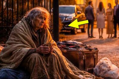 Abandonada por su familia adinerada, la anciana madre vive en las calles, hasta que un simple gesto se convierte en su salvación.