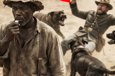 El esclavista que enseñó una “orden secreta” a los perros de caza: el silbido de la muerte.