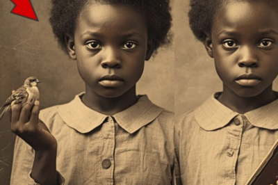 El Secreto de las Inútiles: La Gran Evasión de São Bartolomeu