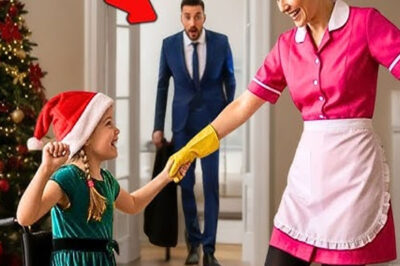 EMPRESÁRIO chega de viagem antes do Natal… e quase desmaia ao ver o que a faxineira fez