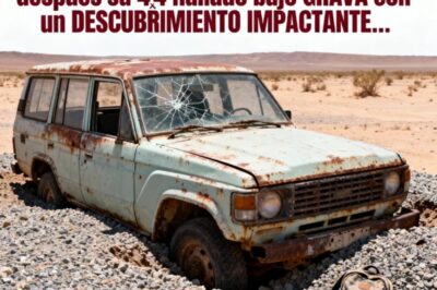 Turista Desapareció — 10 años después su 4×4 hallado bajo GRAVA con un DESCUBRIMIENTO IMPACTANTE…