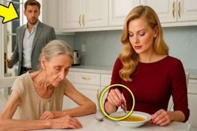 La madre del millonario perdía peso cada día… hasta que su hijo llegó a casa y vio lo que hacía su esposa.