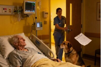 La Despedida que Nadie Olvidó