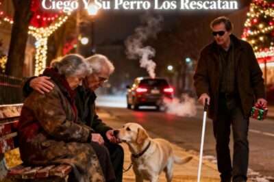 Pareja Anciana Abandonada En Navidad Por Sus Hijos — HASTA Que Hombre Ciego Y Su Perro Los Rescatan.