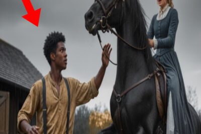 Un joven esclavo ayudó a la esposa de su amo con su caballo y ella se enamoró instantáneamente de él.