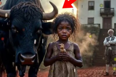 Nadie creyó que el esclavo huérfano se enfrentó al toro salvaje y el dueño de la plantación cayó de rodillas.