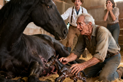 Un granjero compra una yegua gigante preñada por 50 dólares… y Ocurrió Algo Inesperado