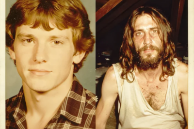 Desaparecido durante 11 años. Su abuelo encontró un escondite secreto oculto dentro de la pared del ático.