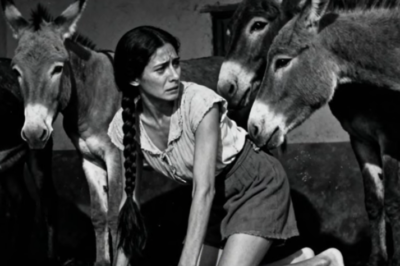 (Puebla, 1961) La mujer que muri0 por tener r3l4ci0n3s con 4 burros