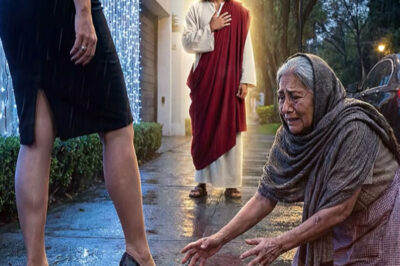 Rica humilló a la abuela que vendía flores… pero el cielo le preparó una lección que jamás esperó