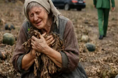 HIJO ABANDONÓ A SU MADRE POR SER POBRE… SIN SABER QUE ELLA ESCONDÍA UNA FORTUNA DE…