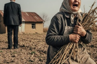 “El hijo dejó a su madre porque era pobre… y no sabía que ella se volvería millonaria después.”