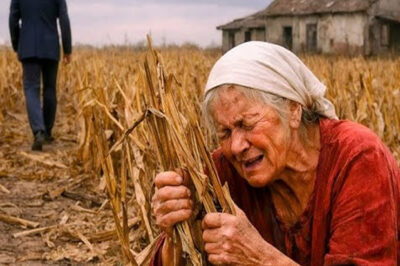 HIJO DEJA A SU MAMÁ CON LA GRANJA DE MAÍZ EN QUIEBRA… 5 AÑOS DESPUÉS ELLA GANA MILLONES