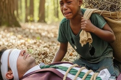 Creían que el millonario había muerto… un niño pobre lo salvó y descubrió la traición familiar