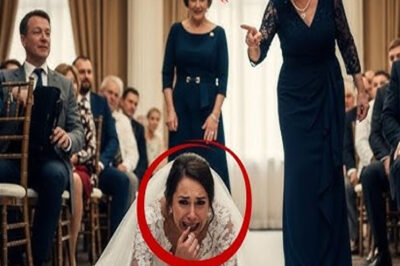 “Volví a Mi Boda Dos Años Después… y Mi Venganza Destruyó a Todos”