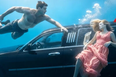 El Padre Soltero Conductor Besó A La Heredera Multimillonaria Para Salvarle La Vida, Luego Pasó Esto