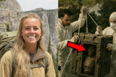 Turista desaparece en las Ardenas belgas: tres años después encuentran su cuerpo en una caja de plástico envuelta en film…