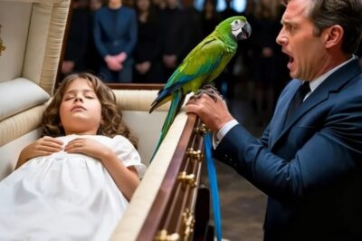 “¡El Asesino De Tu Hija Está Aquí!” Gritó El Loro… Y Reveló Algo Que Destruyó Al Millonario