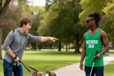 Un matón suelta a sus pitbulls contra un joven ciego. Se pone pálido cuando se detienen