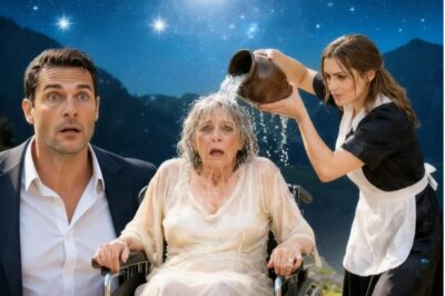 El millonario vio a la empleada mojar a su madre en silla de ruedas… lo que descubrió lo dejó en…