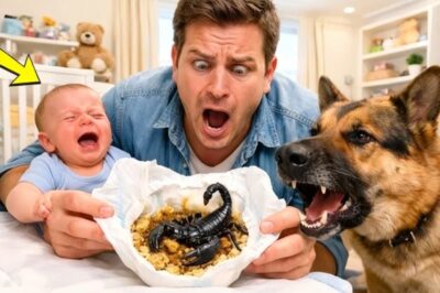 EL PERRO DE LA FAMILIA NO DEJABA DE LADRAR AL BEBÉ — PADRE VIO LO QUE HABÍA EN EL PAÑAL