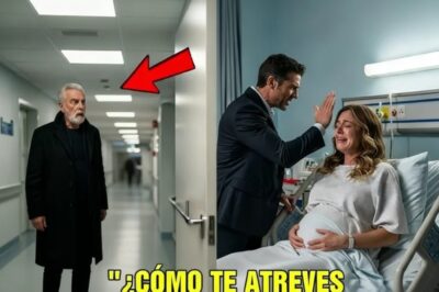Golpeó a su esposa embarazada en el hospital y su padre CEO destruyó su imperio _ historias de amor