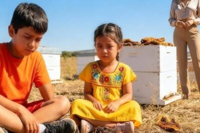 Su Madrastra los Abandonó con un Apiario en Ruinas… Años Después, Luego Suplicó por su Miel Curativa