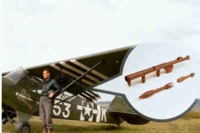 Se Rieron de su “Avión de Juguete”… Hasta que Quemó Tanques Tiger