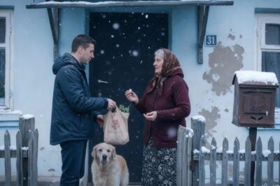 Mentí cada jueves para salvar su dignidad… y su perro me eligió