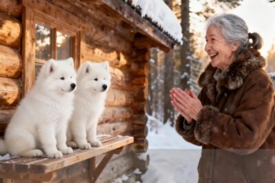 Una anciana salvó a dos perros — Al día siguiente, la policía rodeó su casa