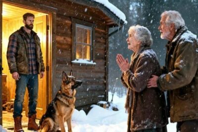Una pareja de ancianos sin hogar pidió ayuda durante la tormenta de nieve… ¡Hasta que un veterano