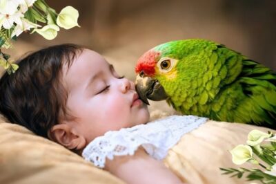 ¡BEBÉ SE MEXE EN EL ATAÚD CUANDO EL LORO GRITA SU NOMBRE, LOS MÉDICOS LLEGAN Y REVELAN LO INCREÍBLE!