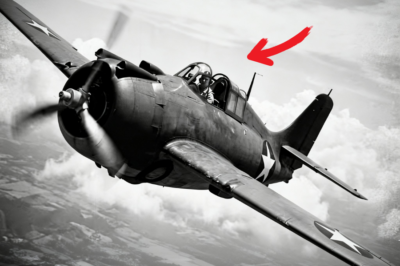 Los cazas japoneses no pudieron explicar un “Mustang de reconocimiento” hasta que siete aviones cayeron en seis minutos.