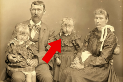 La Fotografía Familiar de 1876 que Parecía Perfecta — Pero las Manos de la Niña Revelan la Verdad