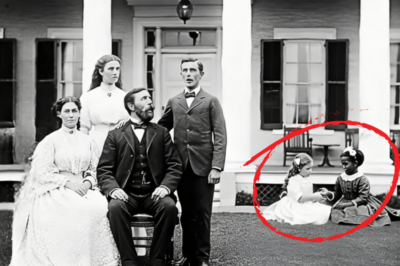 Era solo un retrato familiar, hasta que los historiadores descubrieron la verdad sobre el niño.