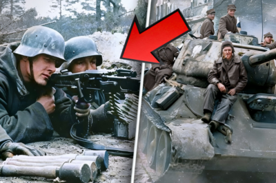 Come la Germania Cercò di Fermare i Sovietici nell’Ultima Settimana di Guerra