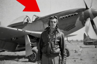 El Piloto que Resolvió un Problema de Ingeniería con Pintura Robada y una Noche