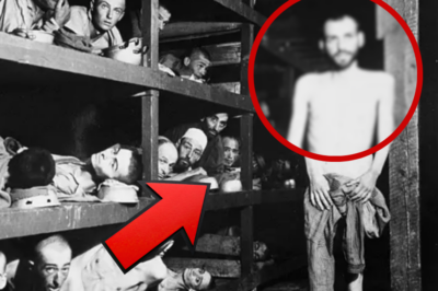 ¡Los HORRIBLES experimentos más INHUMANOS de la 2° Guerra Mundial!