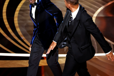 LA CAIDA DE WILL SMITH