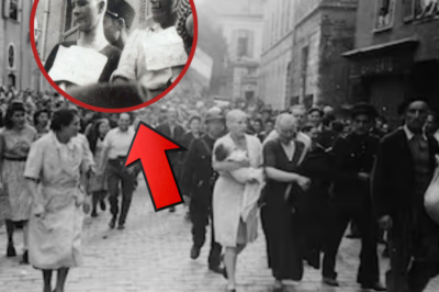 El destino de las mujeres francesas que colaboraron con los alemanes