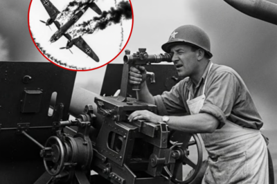 El Cocinero Que Derribó 12 Aviones Alemanes En 20 Minutos — Ivan Petrov, el Héroe Enterrado