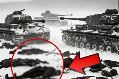 4 Dias LUCHANDO a -40°C en Moscú — Stalin BRAMÓ ‘TRITÚRENLOS’ y PULVERIZARON 350,000 Invasores