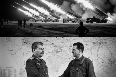 Stalin SE RIÓ de FONTANERO Que Propuso ‘Motor Imposible’ —Luego SUS Katyushas DESTRUYERON 680,000 SS