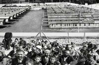 Experimentos Nazis Desclasificados: La Cara Más Brutal del Tercer Reich