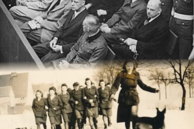 Ejecución de 27 Nazis que Asesinaron a Mujeres Belgas: Difícil de Ver