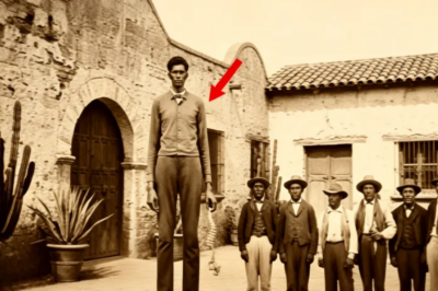 La maldición de Sansón: El gigante esclavo de 2,18 metros que les rompió la columna a 9 capataces