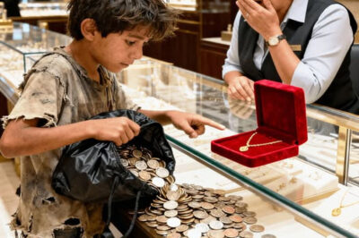 Un niño que tenía prisa entró silenciosamente en una joyería de lujo y vertió miles de monedas frías en el cristal brillante.