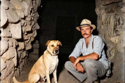 En 1949, cuando el arqueólogo Alberto Ruz Lhuillier buscaba la entrada a la tumba secreta del Rey Pakal, no fueron solo los mapas los que lo guiaron, sino el olfato de un perro que sabía distinguir entre el olor a piedra vieja y el aire que sale de una cámara vacía.