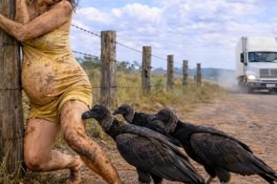 “Un camionero ve a una mujer embarazada a punto de dar a luz, rodeada de buitres… entonces él hace ,